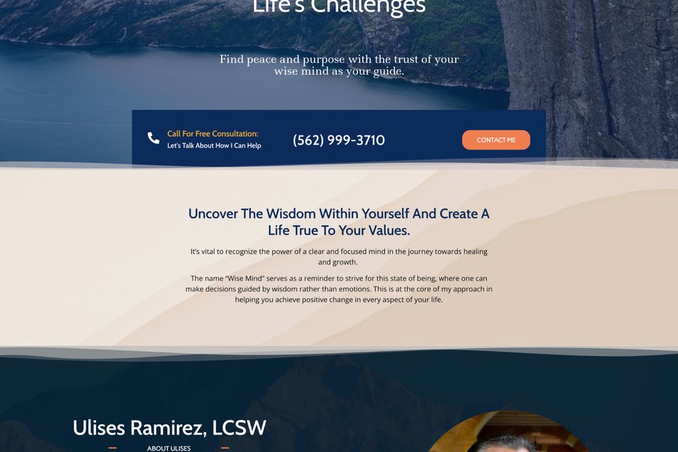 Homepage screenshot of wisemindtherapist.com showing DBT specialist website with calming blue design